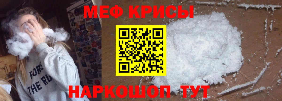 МЕФ  Кингисепп